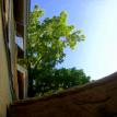 The view from the basement.